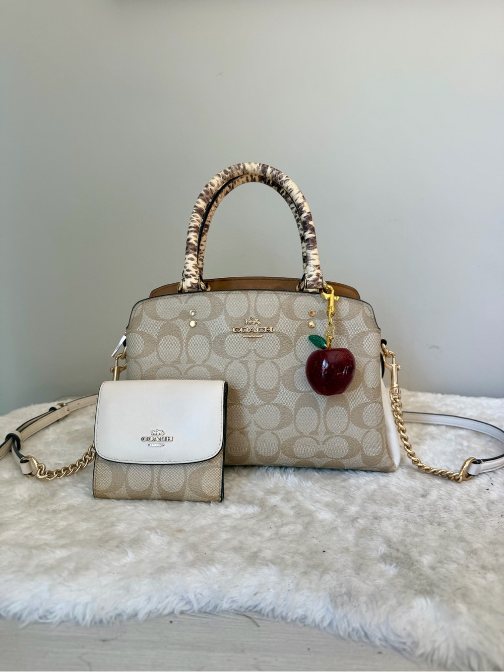 Coach Leather Mini Lillie Carryall Bag with wallet and charm